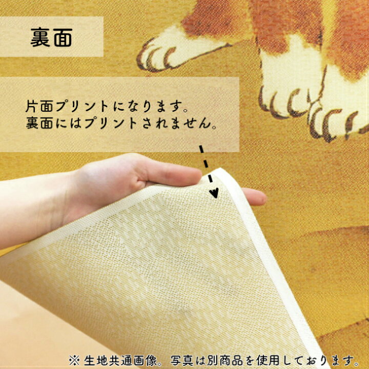 楽天市場 長沢芦雪 のれん 薔薇蝶獅子図 85cm幅 150cm丈 犬 絵画 名画 浮世絵 ベージュ アイボリー おしゃれ 和風 暖簾 間仕切り カーテン タペストリー ポスター 目隠し 玄関 階段 洗面所 部屋 仕切り 棚 パントリー のれん屋さんのインテリアショップ