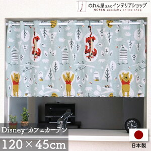 y420`2P5{zyGg[&Iōő100%PobNzJtFJ[e ܂̃v[ CeA G fBYj[ p 120cm 45cm fBYj[ FUN IN THE SUN eBK[ LN^[ 