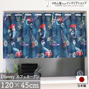 JtFJ[e AG CeA G fBYj[ p 120cm 45cm fBYj[ g}[Ch Pearlescent t_[ LN^[ ObY J[e ډB Lb` ʏ I 