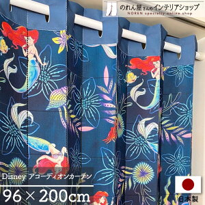 AG CeA G AR[fBIJ[e fBYj[ 96cm 200cm fBYj[ g}[Ch Pearlescent t_[ LN^[ ObY p^p^J[e Ԏd؂ ډB h 