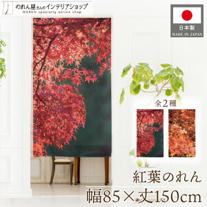 ̂ i iF ݂ H 85cm 150cm gt {̌iF a ʐ^  g m Ԏd؂ ډB J[e ^yXg[ |X^[ photo01 photo02