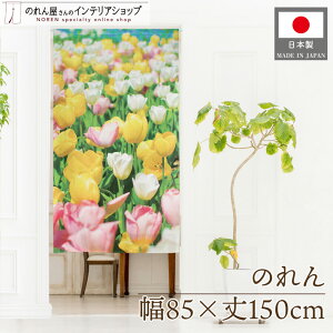 ̂ ʐ^ i iF  t 85cm 150cm z z `[bv photo m g J[e Ԏd؂ ډB |X^[ ^yXg[   Ki ʏ ԉ K[fjO G