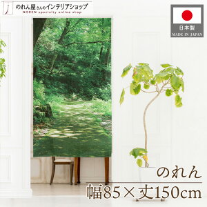 ̂ ʐ^ i iF oR  t V   85cm 150cm R R photo m g J[e Ԏd؂ ډB |X^[ ^yXg[   Ki ʏ