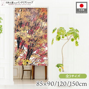 ̂ i iF 85cm 90cm 120cm 150cm V[g O Iׂ3TCY ^yXg[ |X^[ Rgt IW bh CG[ A t [X  g m Ԏd؂ J[