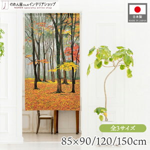 ̂ i iF 85cm 90cm 120cm 150cm V[g O Iׂ3TCY ^yXg[ |X^[ HFイ IW bh CG[ A t [X  g m Ԏd