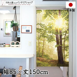 ̂ 85cm 150cm  O[ CG[ uE i iF X A [X  g m Ԏd؂ J[e ^yXg[ |X^[ ډB  Ki ʏ  d؂ I p