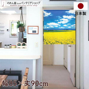 ̂ 85cm 90cm ԔƎR O[ u[ CG[ i iF A  t Z V[g  g m Ԏd؂ J[e ^yXg[ |X^[ ډB  Ki ʏ 