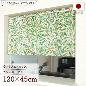 y111:59܂P3{zJtFJ[e p J[e 120cm45cm EBA X EB[{E  _ J[e ډB Lb` ʏ I   A[g fUC GKg 