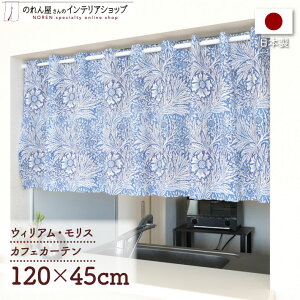 JtFJ[e p J[e 120cm45cm EBA X }[S[h  _ J[e ډB Lb` ʏ I F  A[g fUC GKg JWA |