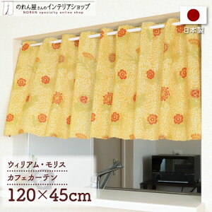 JtFJ[e p J[e 120cm45cm EBA X pE_[h  _ J[e ډB Lb` ʏ I F  A[g fUC GKg JWA |bv 