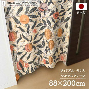 y420`2P5{ẑJ[e Ԏd؂ }`XN[ 88cm 200cm EBA X t[c O O  _ g m ̂ J[e ډB  Ki 