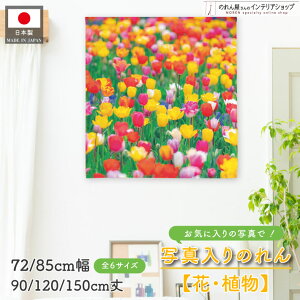 yGg[&Iōő100%PobNzʐ^  t[ K[f ̂ 72cm 85cm 90cm 120cm 150cm ^yXg[ |X^[ Beʐ^ A vc K[fjO LOʐ^ IWi