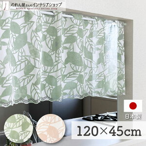 JtFJ[e p 120cm 45cm VGbg[t S2 zCg O[ sN  t A  ډB Lb` ʏ I