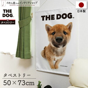 タペストリー 犬 いぬ ポスター 棒 紐付き 50cm幅 73cm丈 THE DOG 柴犬 間仕切りカーテン 目隠し ペットグッズ ペットショップ