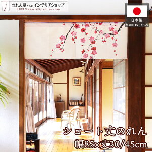 ̂ ~ 85cm 30cm 45cm  a S2TCY