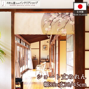 ̂ ~  85cm 30cm 45cm  a S2TCY