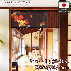 ̂ H 85cm 30cm 45cm  a S2TCY