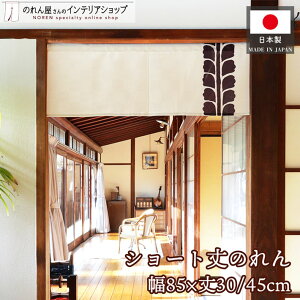 ̂ ӂ 85cm 30cm 45cm  a S2TCY