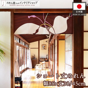 ̂ Ђ傤 85cm 30cm 45cm  a S2TCY