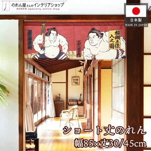 y271:59܂P2{ẑ VjyU 85cm 30cm 45cm  a S2TCY