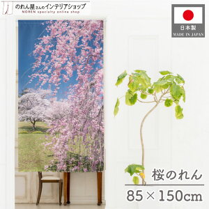̂  ^yXg[ |X^[ 85×150cm Ԍ Ԏd؂ ډB  Ĵ sN