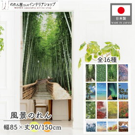のれん 85cm幅 150cm丈 竹林 風景 景色 タペストリー ポスター のれんカーテン 間仕切り 背景幕 竹林の道 桜 蔦 ハワイの休日 青空と空 オーロラ タヒチ ボラボラ島01 緑 青 ピンク 水色