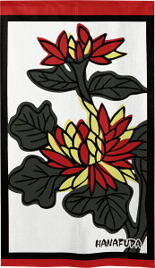 ̂ ԎD Ԃ邽 85cm 150cm a { Ԏd؂ ډB ^yXg[ |X^[ eɔu eɐZ e JX