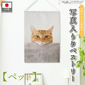 �ʐ^���� �^�y�X�g���[ �I�[�_�[���C�h �� �L �y�b�g 50cm�� 73cm�� �Ƒ��ʐ^ �B�e�ʐ^ �C���X�^�f�� �I���W�i���ʐ^