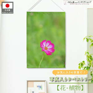 yGg[&Iōő100%PobNzʐ^ ^yXg[ I[_[Ch  t[ 50cm 73cm Beʐ^ LOʐ^ Be CX^f G߂̉ IWiʐ^