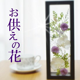 楽天市場 フレーム プリザーブドフラワー 花 観葉植物 花 ガーデン Diyの通販