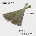い草 ドライフラワー 畳の香り ほのかな香り　い草の香りは強くありません インテリア 和雑貨　和小物 たたみ タタミ 畳 い草 いぐさ プレゼント ギフト みやげ 土産 贈り物 送料無料 1m