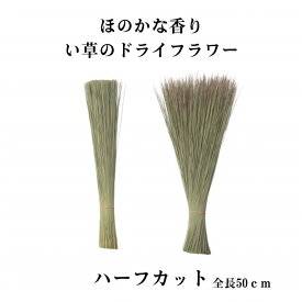 い草 ドライフラワー ハーフカット 畳の香り ほのかな香り　い草の香りは強くありません インテリア 和雑貨　和小物 たたみ タタミ 畳 い草 いぐさ プレゼント ギフト みやげ 土産 贈り物 送料無料