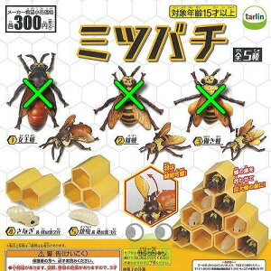 yz~co` Hani2injnj{ďC 2 Zbg