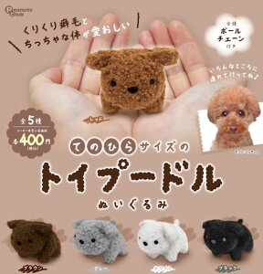 yzĂ̂ЂTCỸgCv[h ʂ S5 Rv[g