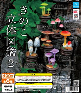 y1\zyz ̂̐}2 S6 Rv[g