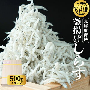 yg炷500gzyؔzyzyYnzIBY NxQ V܂̖ i i a̎RY c炷 c VX Ⴑ Mtg i Y F ① lC