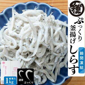 yՂ芘g炷1Kgzyɑ炷z yz傫炷 Yn IBY i i a̎RY c 炷 cVX Ⴑ Y 菤i F Ⓚ y10OFF