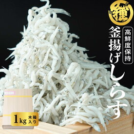 【釜揚げしらす1Kg】【木箱入り】【送料無料】【産地直送】紀州特産 鮮度抜群 老舗の味 絶品 高級品 和歌山県産 田村しらす 田村 シラス じゃこ ギフト 木箱入 贈答品 無添加 無着色 冷蔵便 人気商品