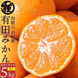 【温州みかん】【大玉2L】【5Kg】【送料無料】【新物】紀州特産 産地直送 和歌山県産 湯浅町 田村 完熟 有田 みかん ミカン 果物 ビタミン ジューシー 贈答品 ギフト 絶品 厳選 特選 ブランド フルーツ 最高級 プレミアスイーツ 甘い