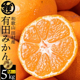 【温州みかん】【特選Mサイズ】【5Kg】【送料無料】【新物】紀州特産 産地直送 和歌山県産 湯浅町 田村 完熟 有田 みかん ミカン 果物 ビタミン ジューシー 贈答品 ギフト 絶品 厳選 特選 ブランド フルーツ 最高級 プレミアスイーツ 甘い