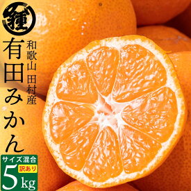 【温州みかん】【2S〜2L】【5Kg】【訳あり】【新物】【送料無料】紀州特産 産地直送 和歌山県産 湯浅町 田村 完熟 有田 みかん ミカン 果物 ビタミン ジューシー ギフト 贈答品 絶品 ブランド フルーツ スイーツ 混合サイズ キズ 甘い