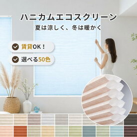 ハニカムエコスクリーン ダブルセル 高断熱 遮熱 保温 賃貸OK カーテンレール取付 穴あけ不要 1mm単位オーダー ループコード 自動降下 小窓 省エネ 目隠し 防音 冷気対策 暑さ対策 オーダーメイド プリーツスクリーン 省エネ対策