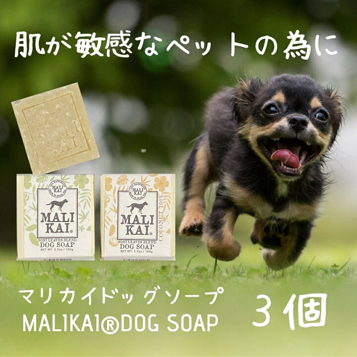 楽天市場 送料無料 Malikai Dog Soap マリカイ ドッグ ソープ 3個 犬用石けん 手作り石けん 低刺激 ペット シャンプー ペット用 シャンプー ペットシャンプー 犬の石けん 固形石鹸 無添加 オーガニック ビューティ ヘルス ミィチェ 楽天市場 送料無料 Malikai Dog Soap マリカイ ドッグ ソープ 3個 犬用石けん 手作り石けん 低刺激 ペット シャンプー ペット用 シャンプー ペットシャンプー 犬の石けん 固形石鹸 無添加 オーガニック ビューティ ヘルス ミィチェ