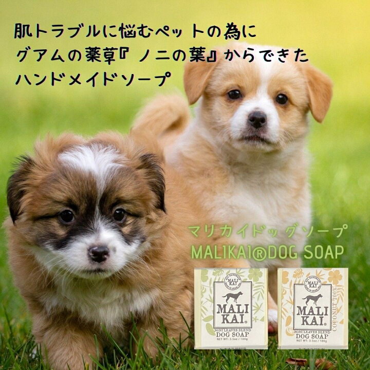 楽天市場 送料無料 Malikai Dog Soap マリカイ ドッグ ソープ 犬用石けん 手作り石けん 低刺激 ペット シャンプー ペット用 シャンプー ペットシャンプー 犬用石鹸 固形石鹸 無添加 オーガニック ビューティ ヘルス ミィチェ