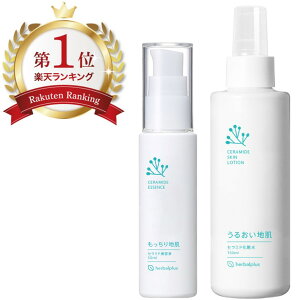 {IP2{ ye1{Zbgz  Z~h ϐ R ێ et   ێ ێϐ Xv[ qg^Z~h ~Xgϐ tP 낤ێ[V XLPA 