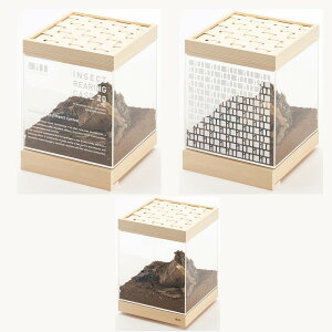 【送料無料】 飼育ケース 20 樅 100 虫かご おしゃれ 大人 カブトムシ クワガタ コオロギ アリ ヘラクレス 飼育 観察 幅20×奥行3.2×高さ24cm むしかご 虫篭 虫入れ プラスチック 木製 ブラインド