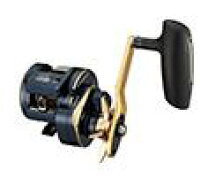 楽天市場】ダイワ ソルティガic 300hlの通販 