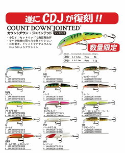 ���p�� �J�E���g�_�E���W���C���e�b�h7 CDJ7 RAPALA