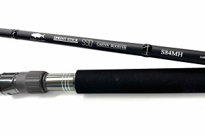 eCEH[N XvgXeBbNSSD LXeBu[X^[ S84MH ItVALXeBO