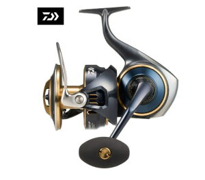 ʌIԋʉiI_C 25\eBK 20000-P DAIWA